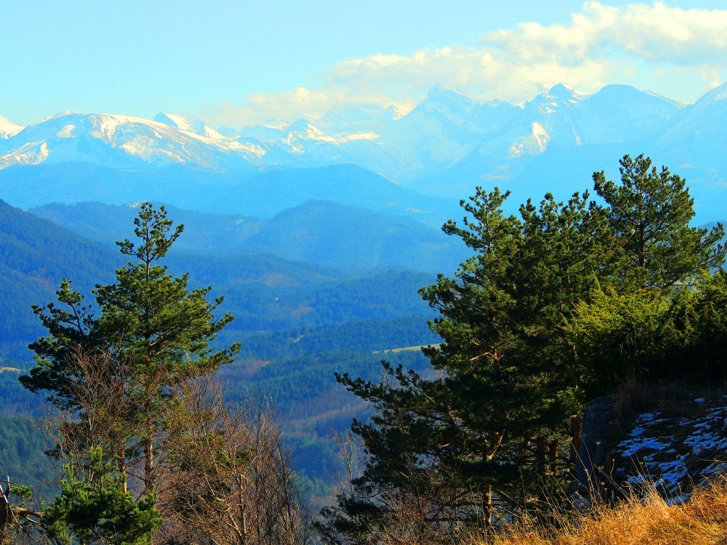 Foto de Izalzu (Navarra), España