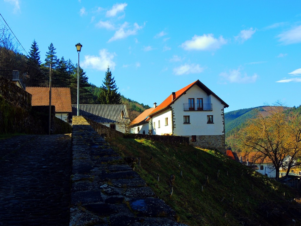 Foto de Izalzu (Navarra), España