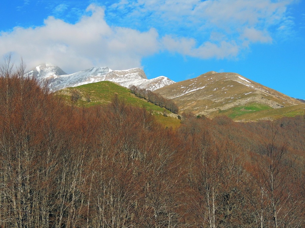 Foto de Izalzu (Navarra), España