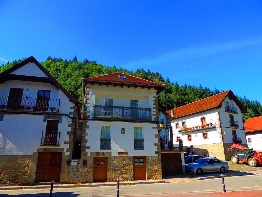 Foto de Izalzu (Navarra), España