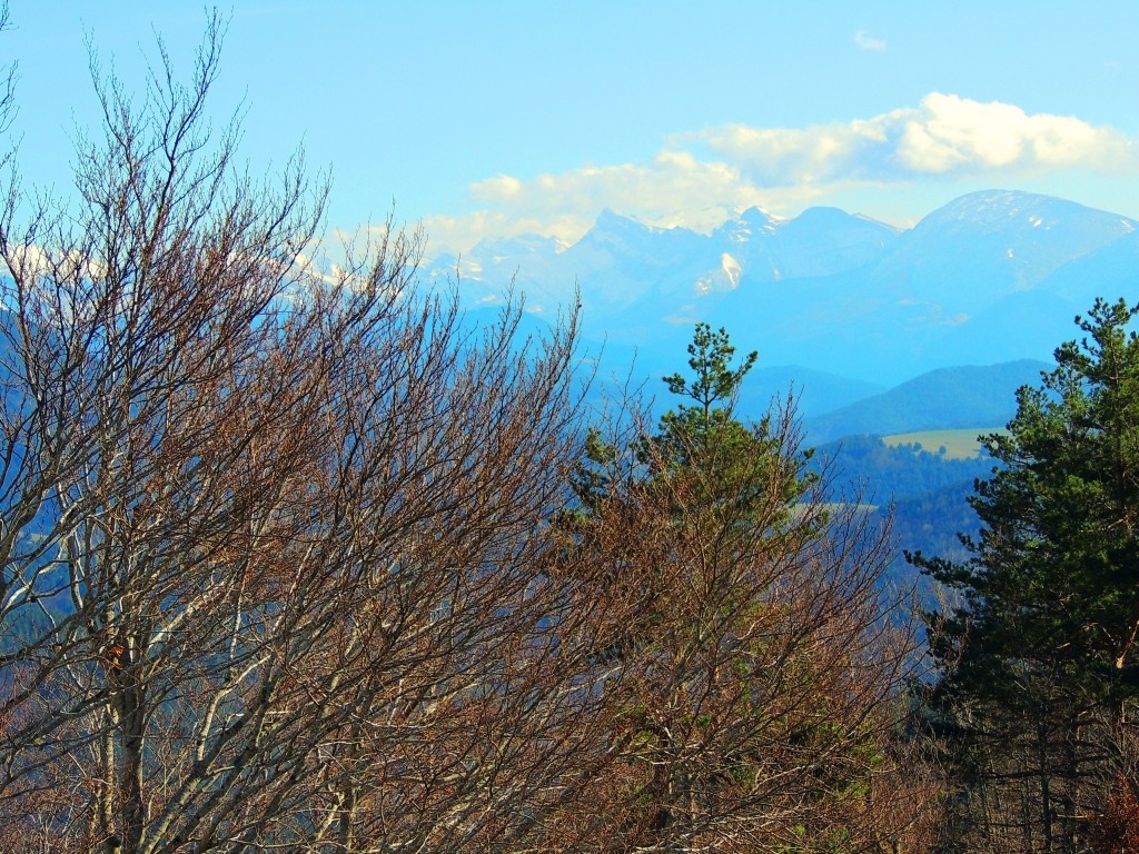 Foto de Izalzu (Navarra), España