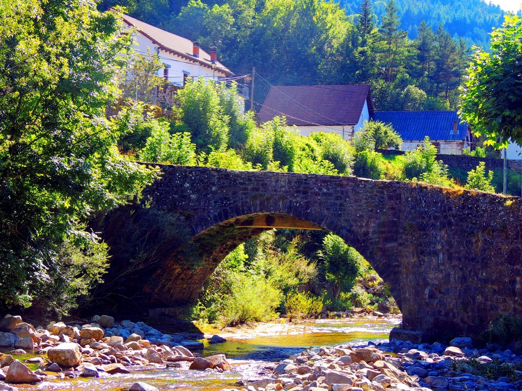 Foto de Izalzu (Navarra), España