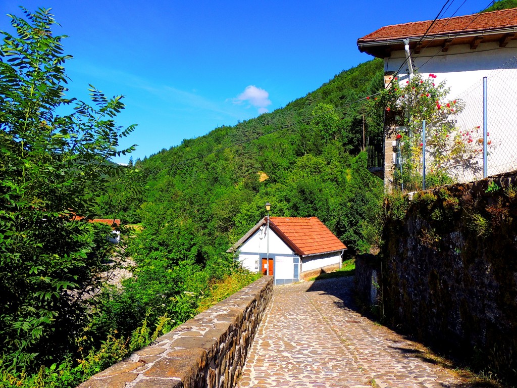 Foto de Izalzu (Navarra), España