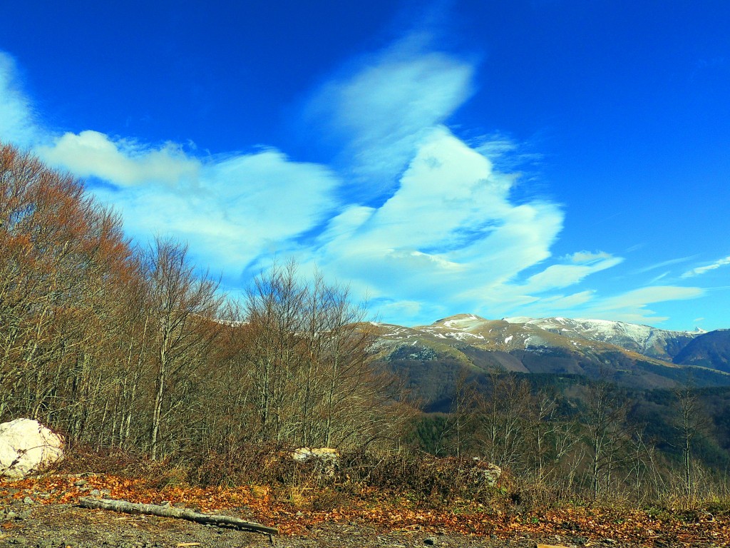 Foto de Izalzu (Navarra), España