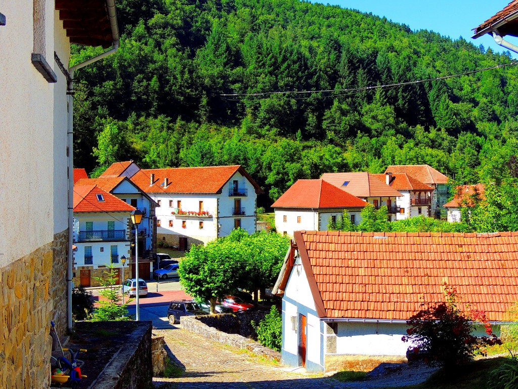 Foto de Izalzu (Navarra), España