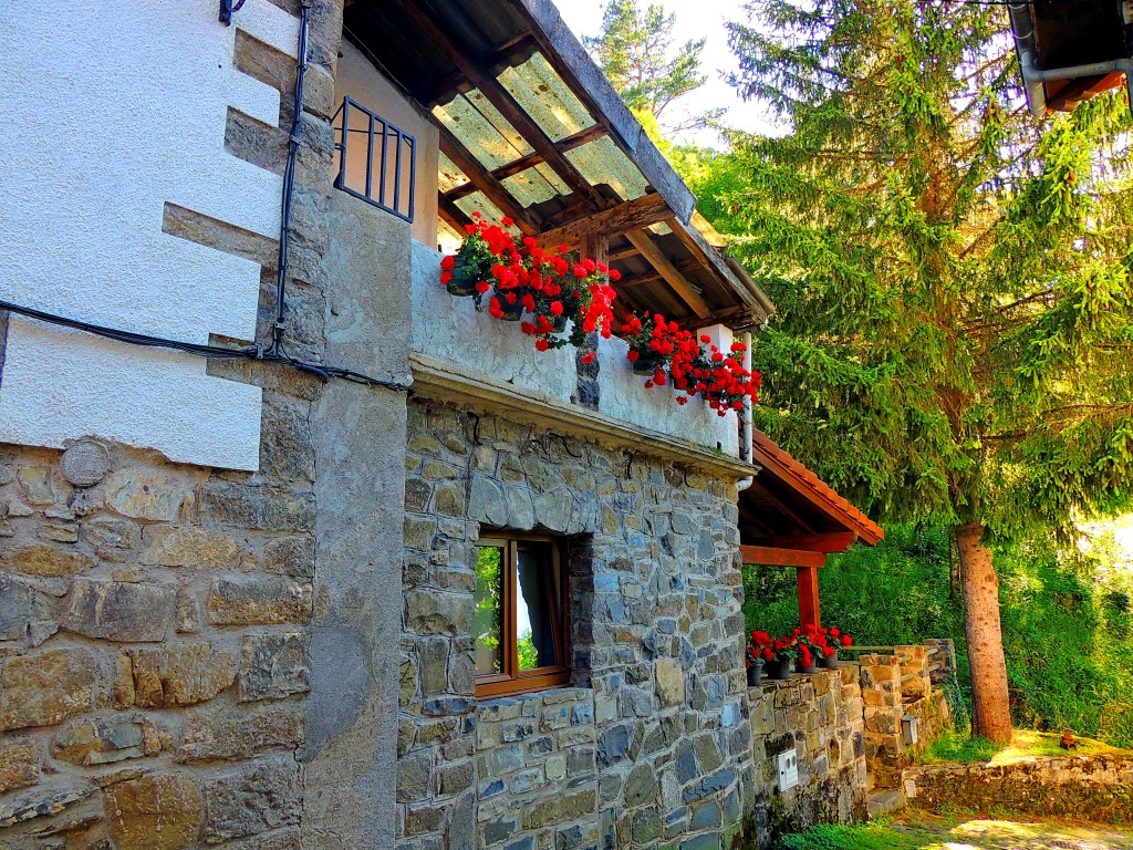 Foto de Izalzu (Navarra), España