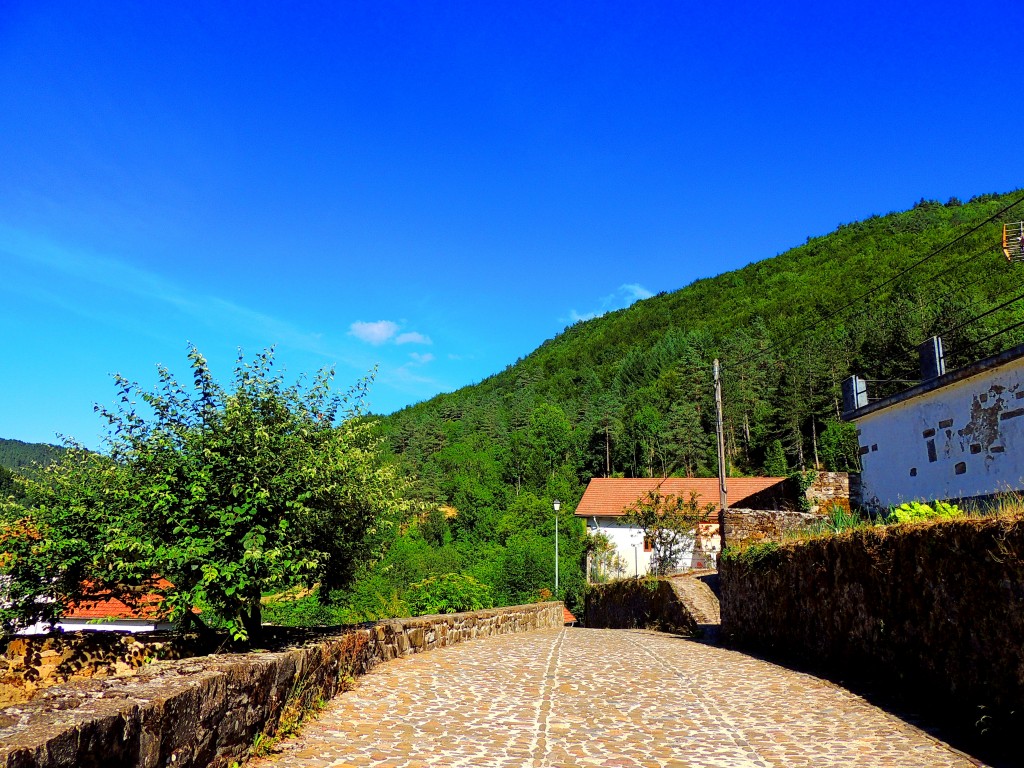 Foto de Izalzu (Navarra), España