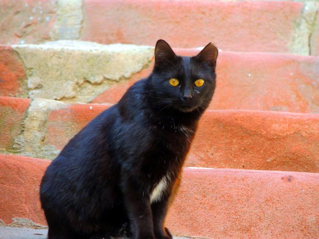 Foto de Albarracín (Teruel), España