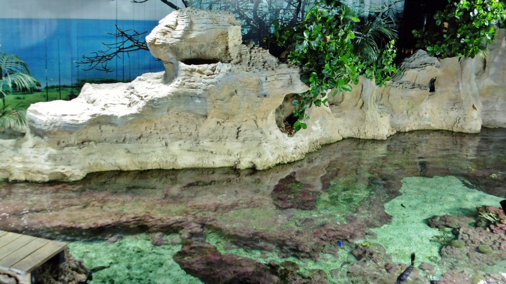 Foto: Acuario - Génova (Liguria), Italia