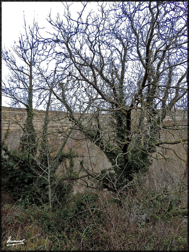 Foto: 160129-056 ANENTO - Anento (Zaragoza), España