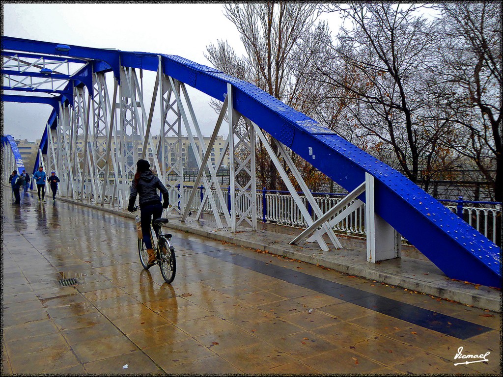 Foto: 151220-27 NIEBLA EN EL EBRO - Zaragoza (Aragón), España