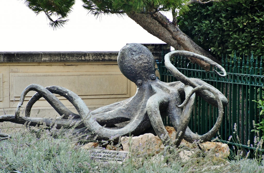 Foto: Museo - Mónaco, Mónaco