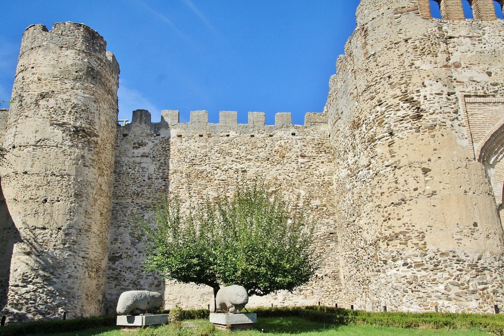 Foto: Muralla - Coca (Segovia), España