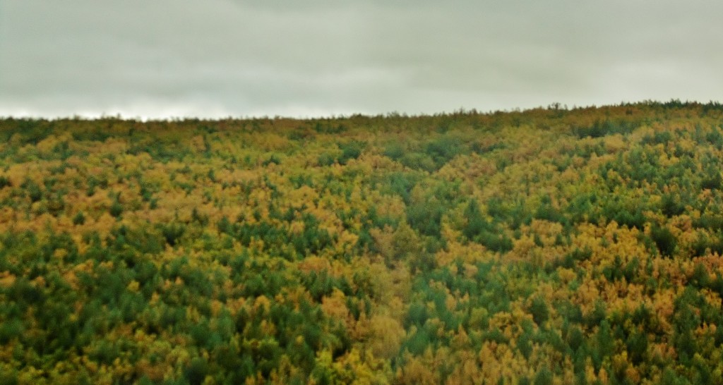 Foto: Paisaje - Riaza (Segovia), España