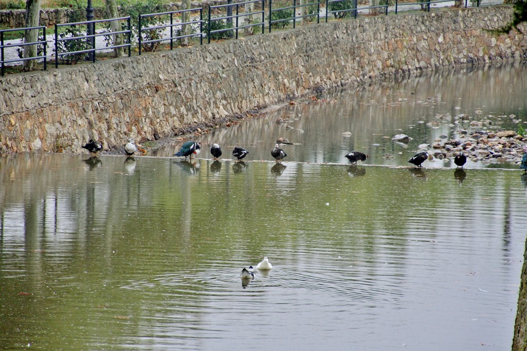 Foto: Rio Aguisejo - Ayllón (Segovia), España