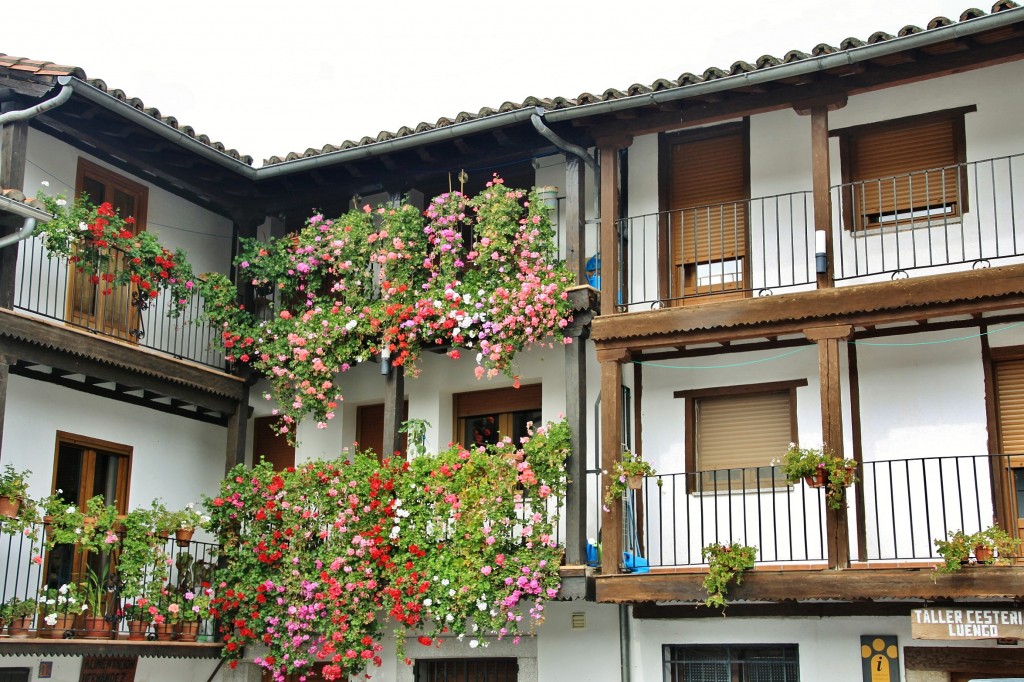 Foto: Centro histórico - Montemayor (Salamanca), España