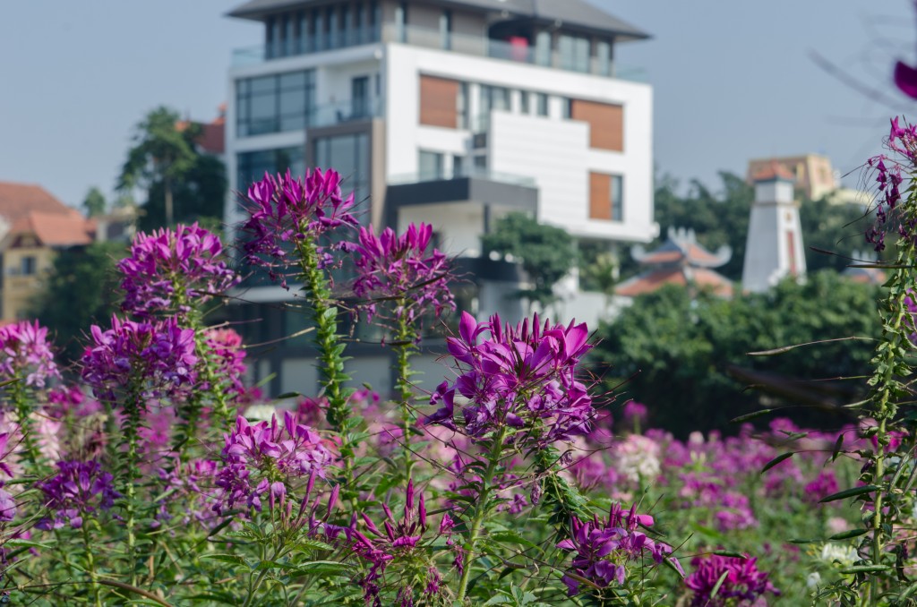 Foto de Hanoi (Ha Nội), Vietnam