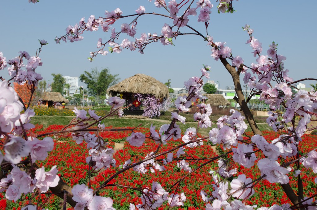 Foto: Jardin de Flores - Hanoi (Ha Nội), Vietnam