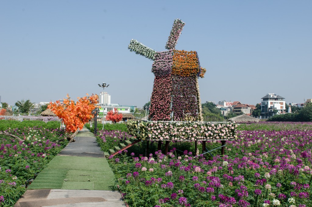 Foto: Jardin de Flores - Hanoi (Ha Nội), Vietnam
