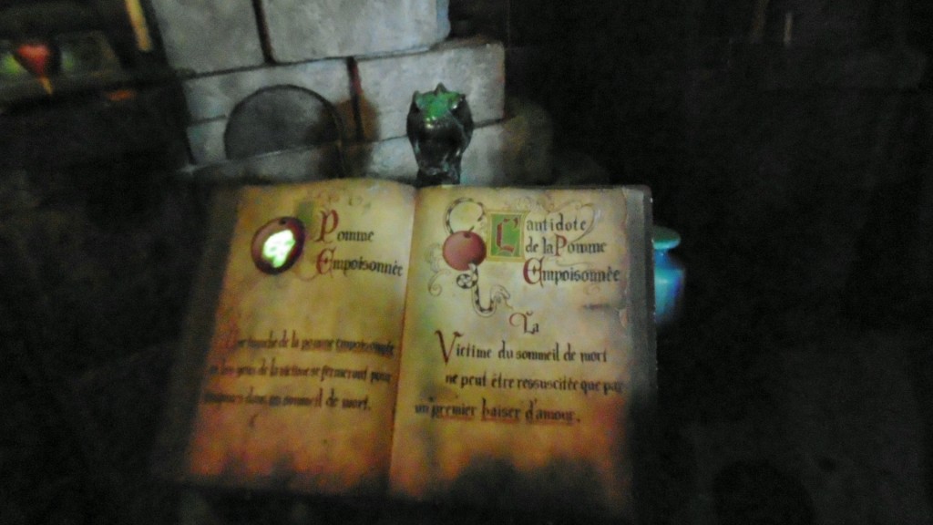 Foto: Disneyland - París (Île-de-France), Francia