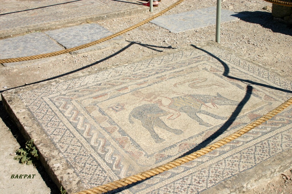 Foto de Meknes (Meknès-Tafilalet), Marruecos