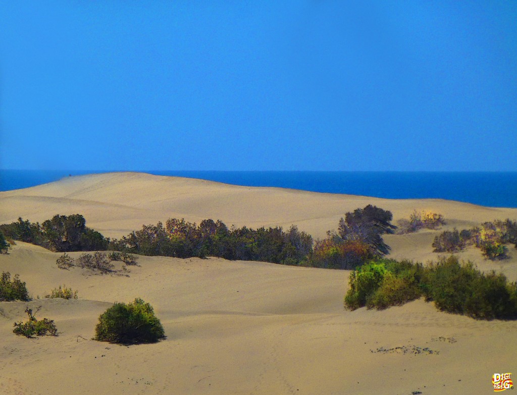 Foto: Dunas de Maspalomas (01) - Las Palmas de Gran Canaria (Las Palmas), España