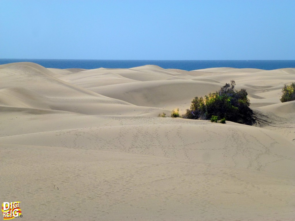 Foto: Dunas de Maspalomas (2) - Las Palmas de Gran Canaria (Las Palmas), España