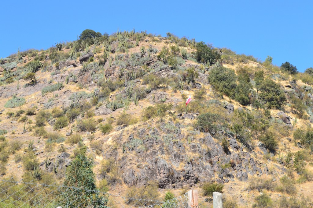 Foto de Coinco (Libertador General Bernardo OʼHiggins), Chile