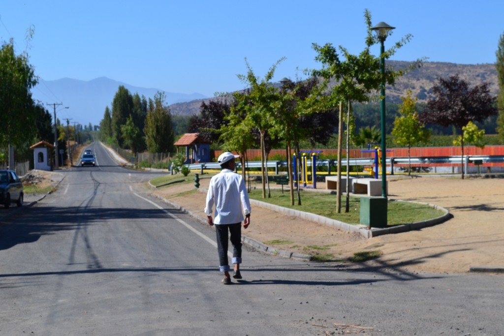 Foto de Coinco (Libertador General Bernardo OʼHiggins), Chile