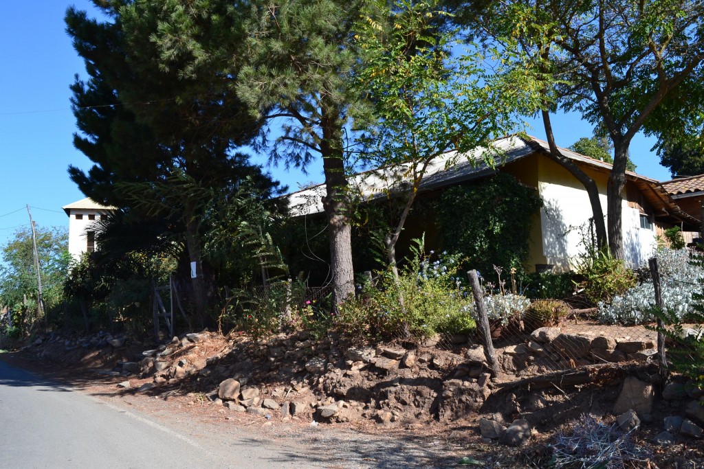 Foto de Coltauco (Libertador General Bernardo OʼHiggins), Chile