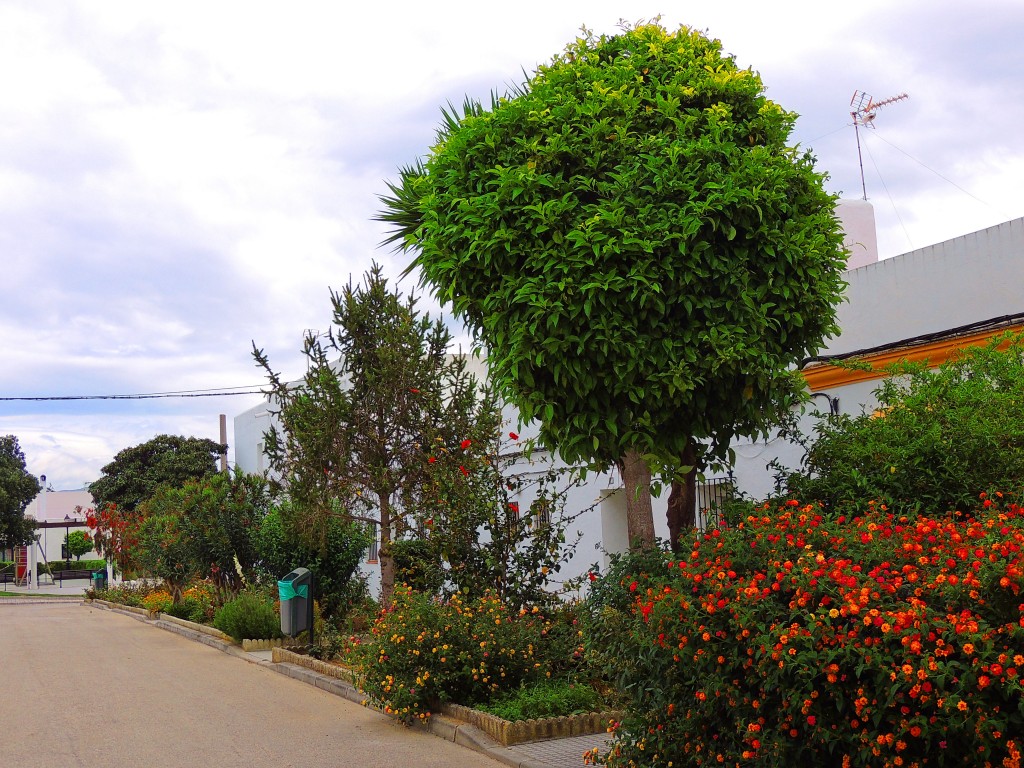 Foto de Tahivilla (Cádiz), España