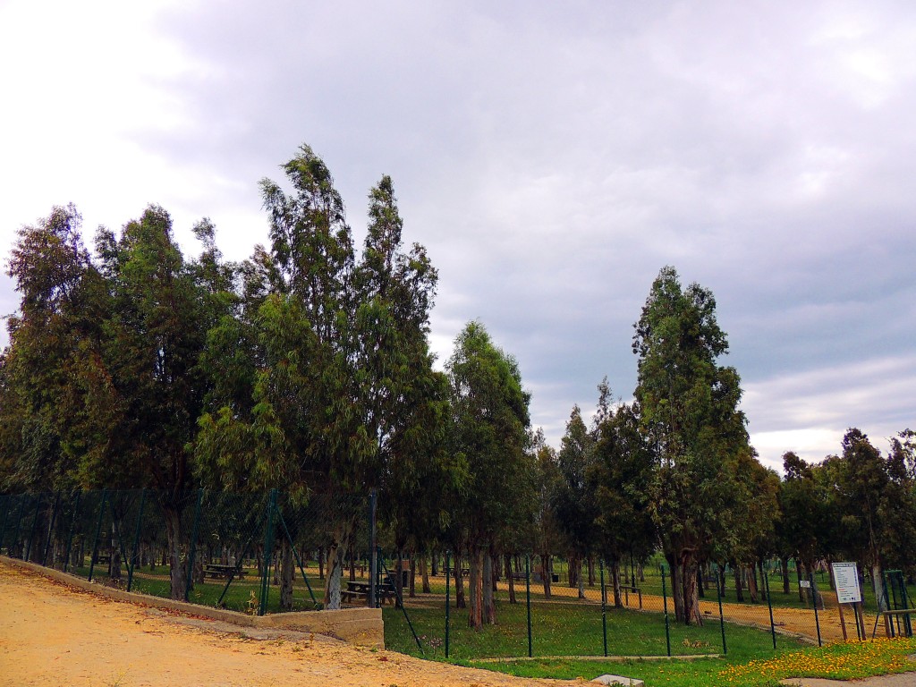 Foto de Tahivilla (Cádiz), España