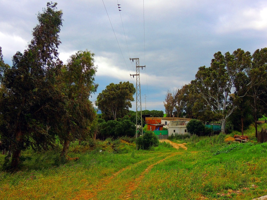 Foto de Tahivilla (Cádiz), España