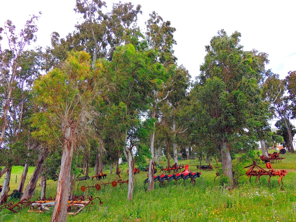 Foto de Tahivilla (Cádiz), España