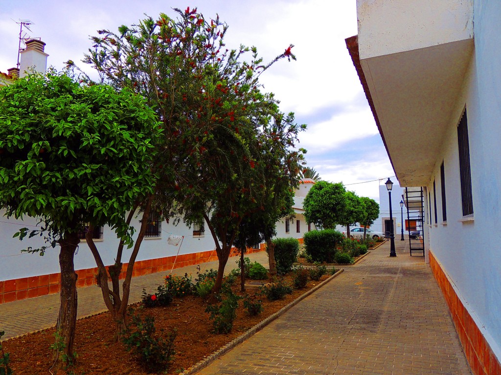 Foto de Tahivilla (Cádiz), España