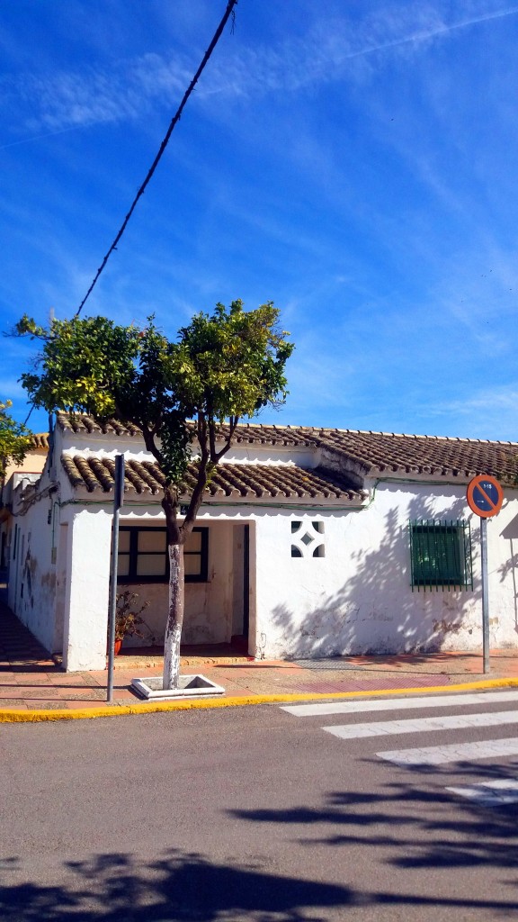 Foto de Nueva Jarilla (Cádiz), España