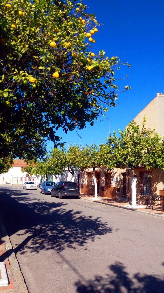 Foto de Nueva Jarilla (Cádiz), España