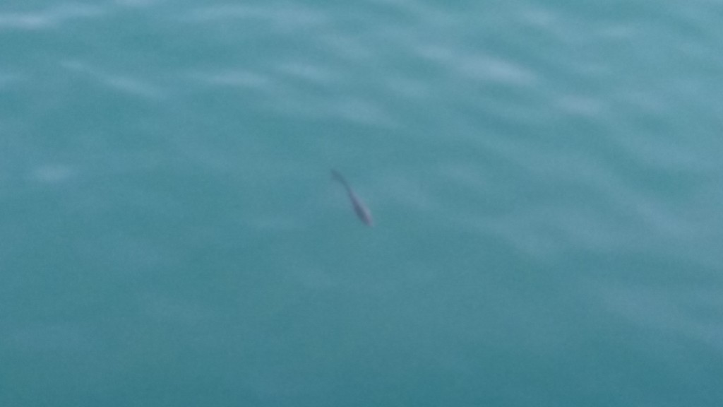 Foto de Llanes (Asturias), España