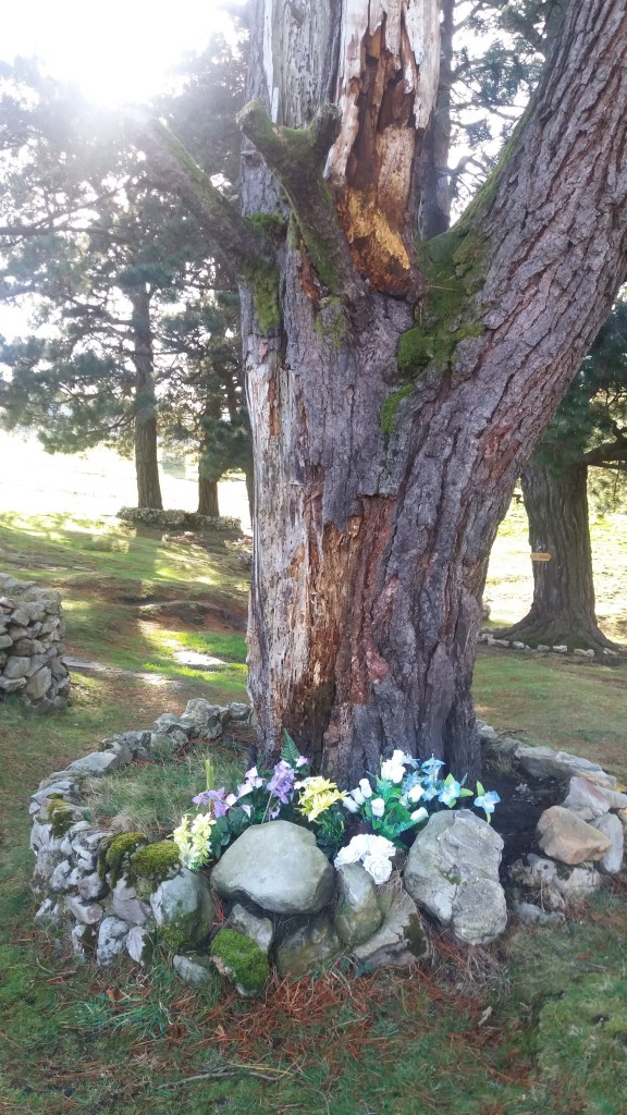 Foto de San Sebastian de Garabandal (Cantabria), España