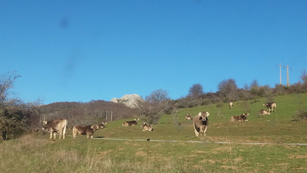 Foto de Piedrasluengas (Palencia), España