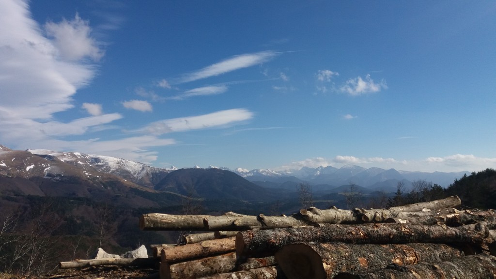 Foto de Izalzu (Navarra), España