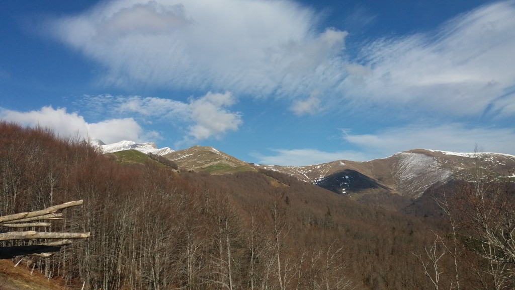 Foto de Izalzu (Navarra), España