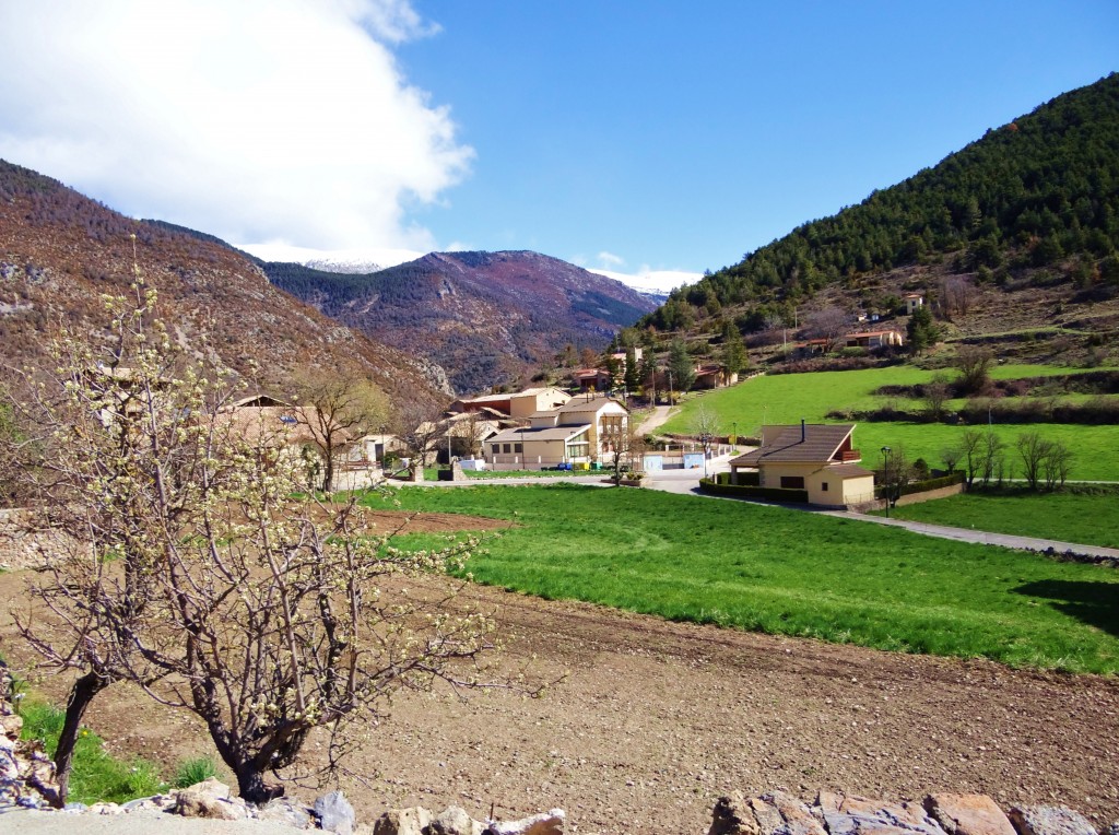 Foto: Vall de les Trementinaires - Tuixent (Lleida), España