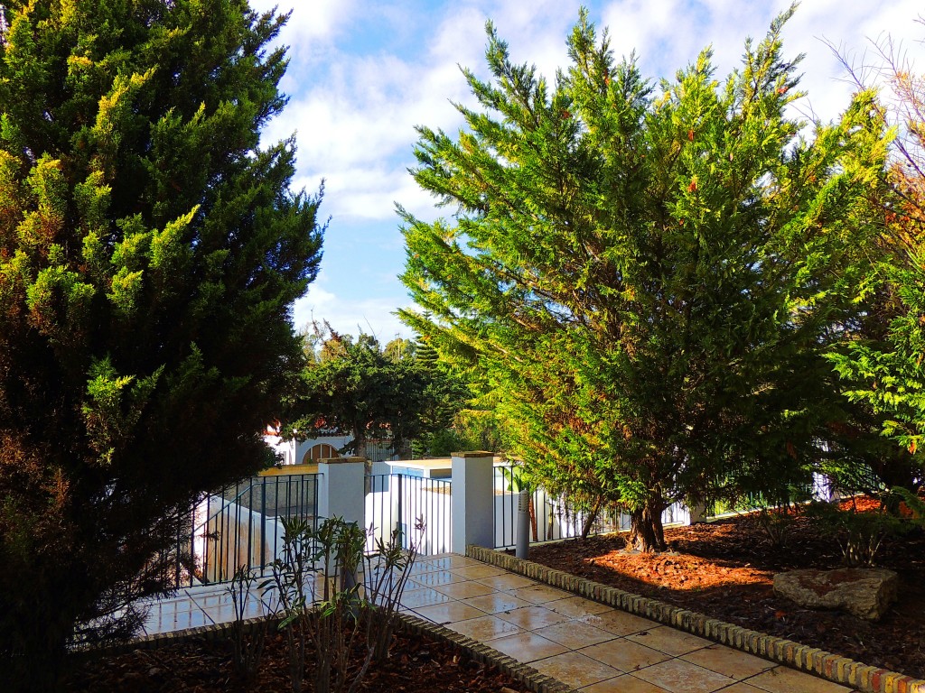 Foto: Apartamentos Piedramar - Conil de la Frontera (Cádiz), España