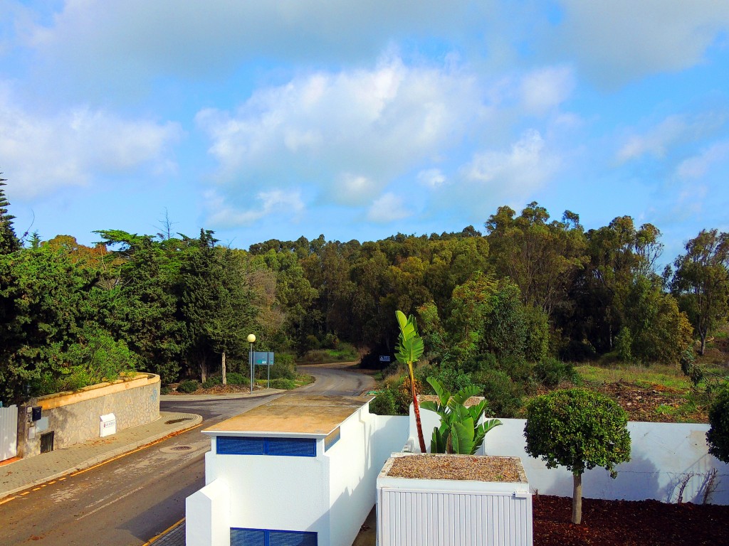 Foto de Conil de la Frontera (Cádiz), España