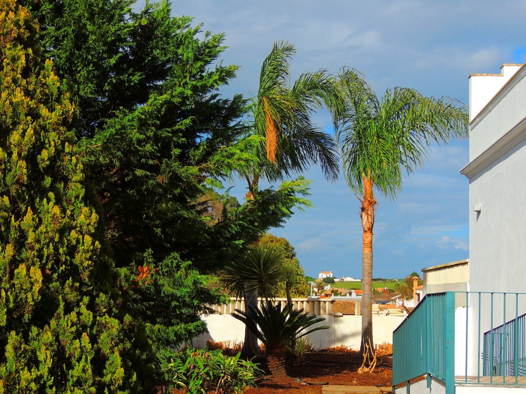 Foto de Conil de la Frontera (Cádiz), España