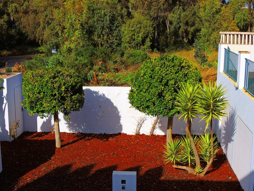 Foto: Apartamentos Piedramar - Conil de la Frontera (Cádiz), España