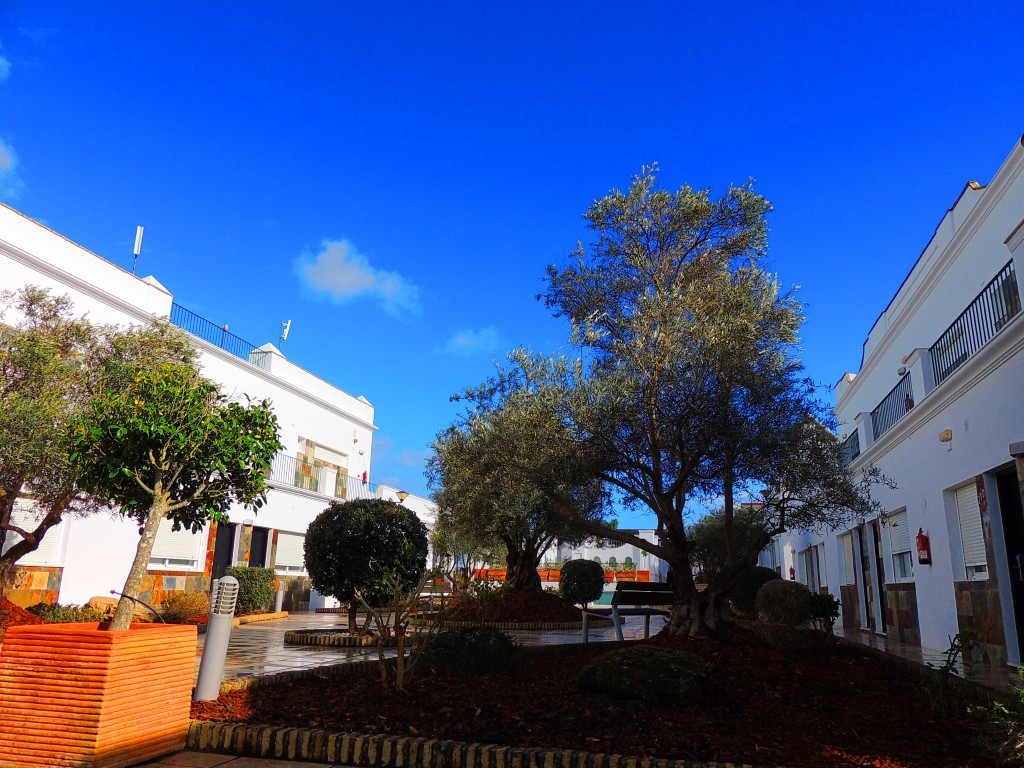 Foto de Conil de la Frontera (Cádiz), España