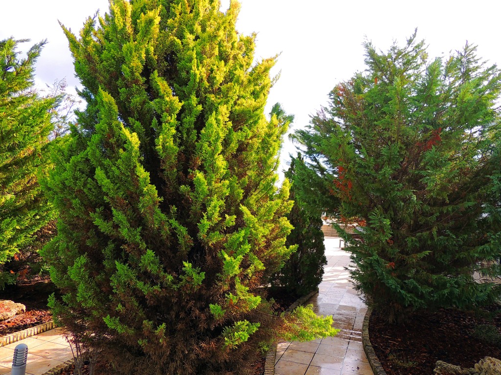 Foto de Conil de la Frontera (Cádiz), España