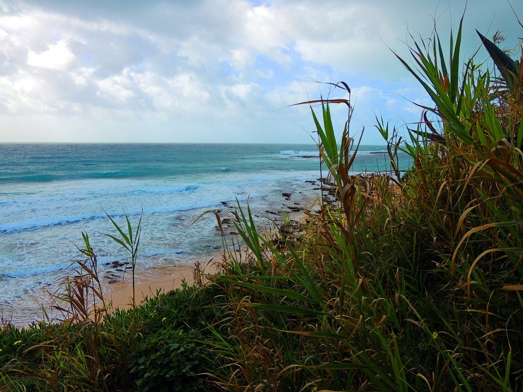 Foto de Los Caños de Mea (Cádiz), España